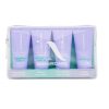 In HairCare Trousse Travel N Go 4 Essentiels Format Voyage 100ml