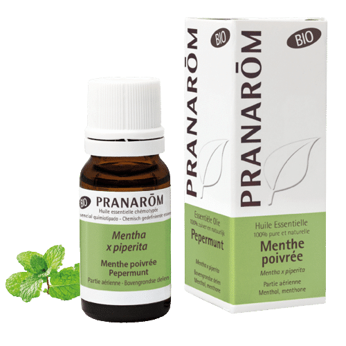 Pranarom Huile Essentielle Menthe Poivrée 10ml